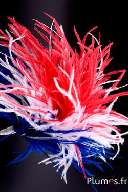 Plumet autruche avec anneau - ht 18 cm - bleu-blanc-rouge